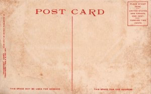 ROYAL PALMS COCOANUT GROVE MIAMI FLORIDA POSTCARD (c. 1910)