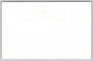 RPPC  Columbia Icefield Chalet  Athabasca Glacier  Postcard