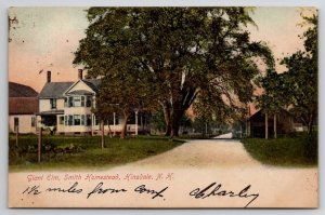 Hinsdale NH Giant Elm Smith Homestead New Hampshire Postcard O27