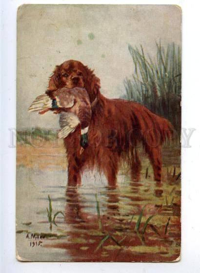 159624 Duck Hunt IRISH SETTER by MAKO Vintage Ukraine color PC
