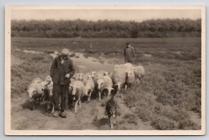Netherlands Sheep with their Shepherd and Herding Dog RPPC Postcard M34
