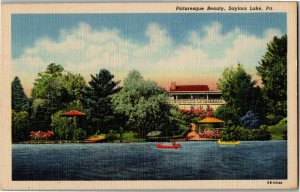 Canoes, Waterfront Scenic View on Saylors Lake PA Vintage Linen Postcard G24