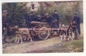 Belgians war machine guns Dogs Soldiers Officers Animation Old Postcard