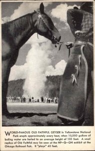 Yellowstone National Park Wyoming WY Old Faithful Geyser and Horse Vintage PC