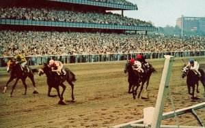 NY - Long Island. Aqueduct, Horse Racing