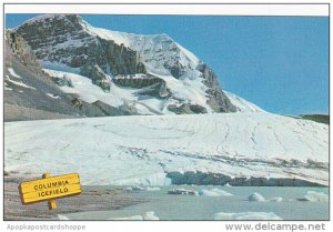 Canada Columbia Icefields Alberta