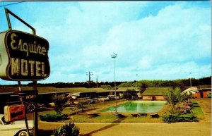 Beeville, TX Texas  ESQUIRE MOTEL  Pool~50's Cars  BEE COUNTY  Roadside Postcard