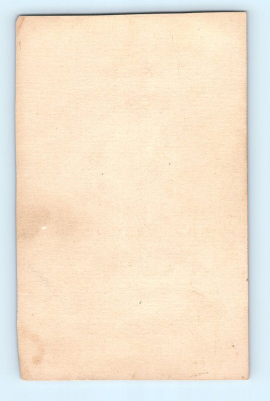 Boy American Flag Eagle Victorian Trade Card Troy NY