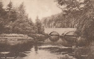 AMULREE, THE BRIDGE, Perthshire, Scotland - Vintage POSTCARD