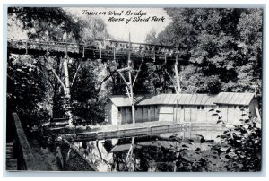 c1950's Train On West Bridge Tourists Rides Pond Grove Benton Harbor MI Postcard 