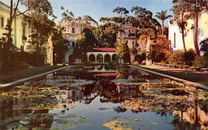 Lily Pond in the world famous Balboa Park San Diego California  