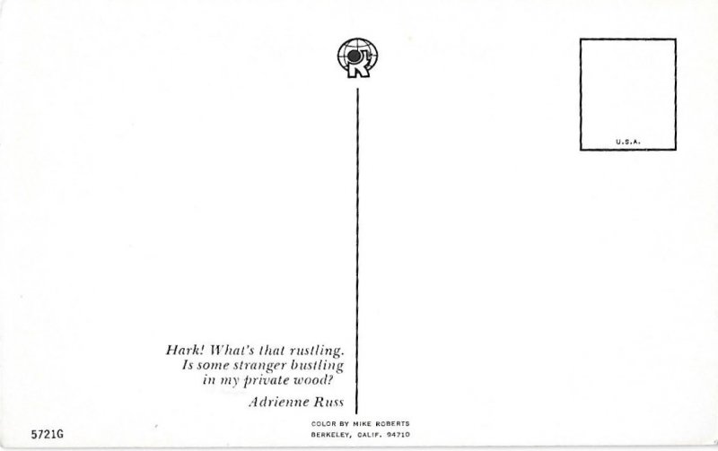 Deer in Woods Antlers