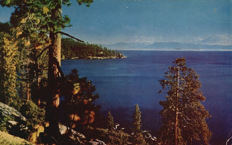 Postcard Lake Tahoe Looking Toward Mt. Tallac Pipe-Lined Shores Big Water Nevada