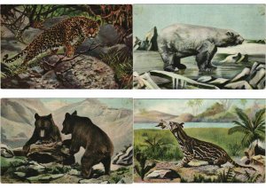 ANIMAUX ANIMALS Mostly ARTIST SIGNED ILLUSTRATEUR 60 CPA (L4538)