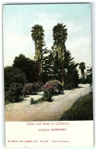 1901-07 Palms And Roses Santa Barbara California Postcard Ca M Rieder Ca 