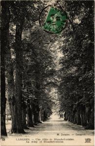 CPA LANGRES - Une Allée de Blanche-fontaine An Alley of Blanche. (430741)