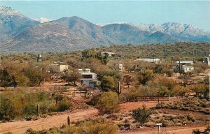 Postcard 1950s Cave Creek Arizona Picturesque Settlement Petley 24-7215