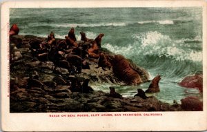 Seal Rocks Cliff House San Francisco California Wildlife Ocean UDB Postcard 