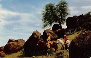 Pebbles Riding The Range - Cowboys, Texas TX  