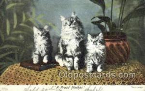 Cat Cats, Old Vintage Antique Postcard Post Card  