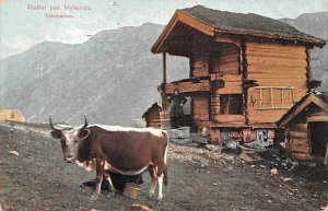 Stabur pas Nylaende Switzerland 1907 