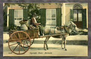 dc980 - BERMUDA c1903-05 Vegetable Vendor. Donkey Cart. Postcard