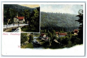 c1910 Harz Treseburg Multiview Bridge Trees Buildings Germany Postcard