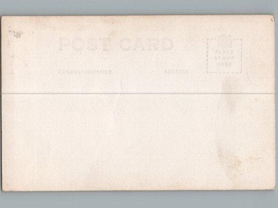 RPPC Postcard Cocanut Trees Honolulu Hawaii c1950