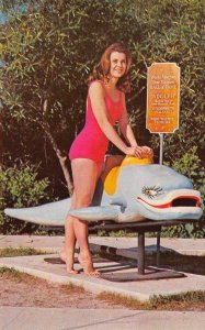 Weeki Wachee, FL Mermaid Bathing Beauty Dolphin c1960s Vintage Postcard