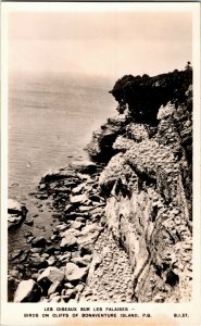 RPPC Birds on Cliffs of Bonaventure Island Quebec Vintage Postcard L27