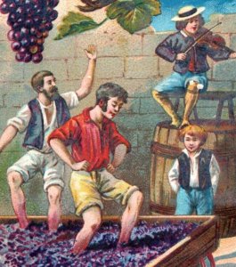 1880s-90s French Language Stomping Grapes Wine Juice F159