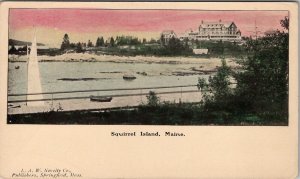 Squirrel Island Maine PMC Private Mailing Card L.A.W. Novelty Co Postcard Z21