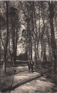 Sweden Eksjö Vildparken Vintage Postcard C125