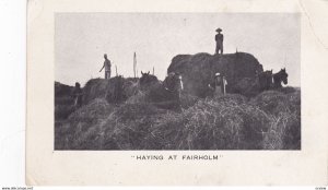 Haying , Fairholm , Clallam County, Washington , 00-10s