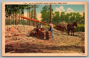 Postcard c1940s An Old Fashioned Sugar Cane Mill Down South Horse Buggy Linen