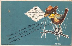 Peters Diamond Brand Shoes Weather Bird Ad Vintage Postcard AA83018