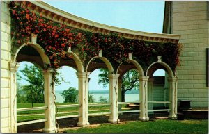 Postcard VA Mount Vernon Re-planting of coral honeysuckle on colonnades