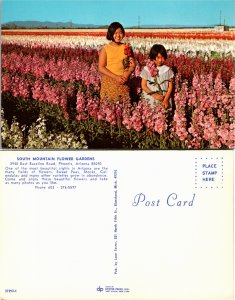 South Mountain Flower Gardens, Phoenix, Arizona (22584