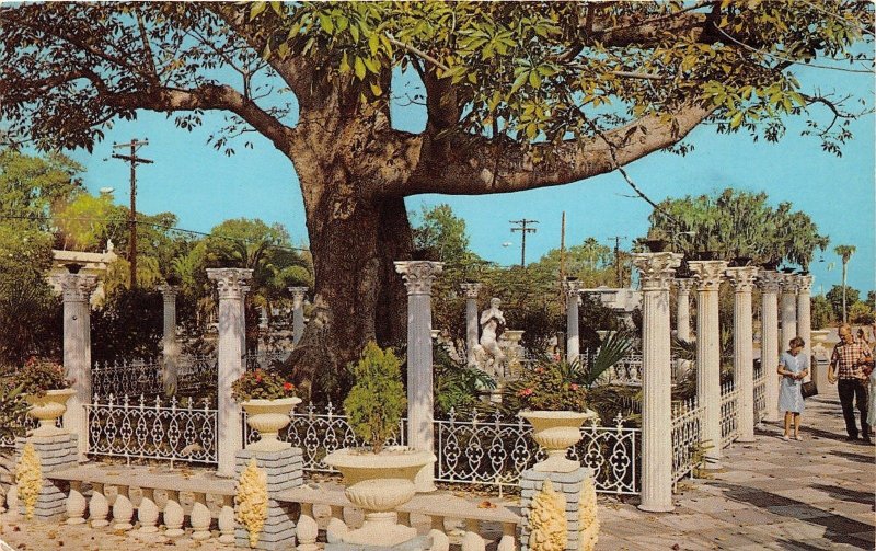 Clearwater Florida~Kapok Tree@ Kapok Tree Inn~People on Sidewalk~1950s Postcard