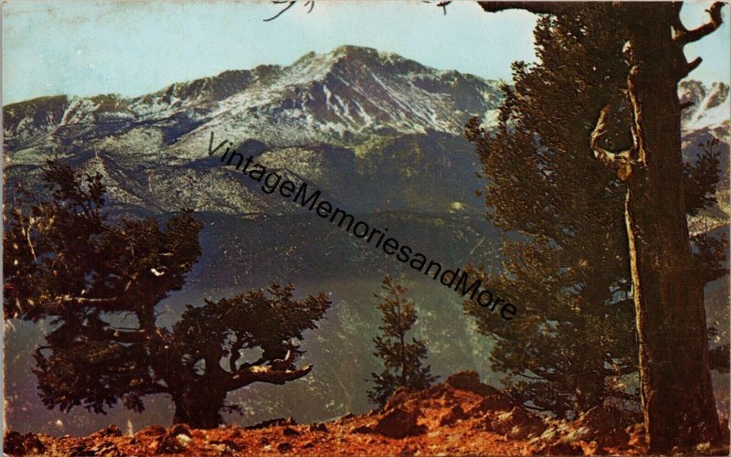 Pikes Peak as Viewed from Camera Point on Rampart Range Postcard PC279