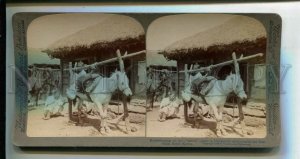 3163998 Korea SEOUL Horseshoeing BLACKSMITH Shop STEREO PHOTO