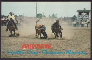 Bulldogging,Frontier Days,Cheyenne,WY Postcard BIN