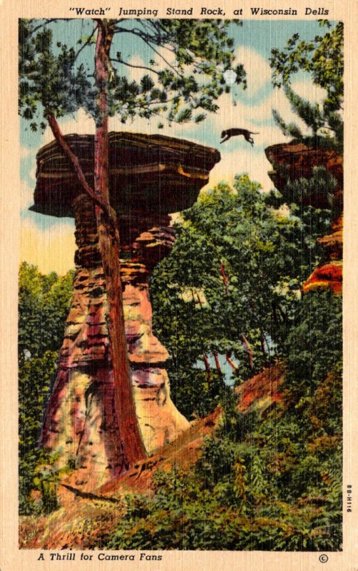 Wisconsin Dells Watch Jumping Stand Rock Curteich