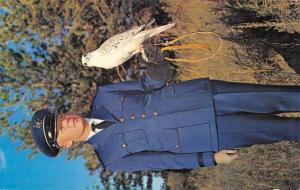 Central City Colorado Air Force Academy Hawk Mascot Vintage Postcard K97257