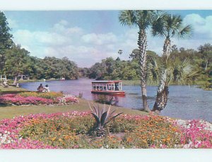 Pre-1980 SILVER SPRINGS SCENE Ocala Florida FL AF9800