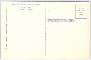 Vintage Irwin M. Krohn Conservatory Postcard Cincinnati Ohio Linen