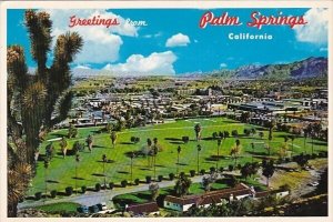 California Palm Springs Greetings From Palm Springs