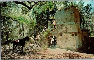 Ruins of Baynard Plantation Hilton Head Island SC Vintage Postcard M37