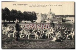 Old Postcard Hunting hounds has Chantilly The pack of & # 39equipage SAR Mgr ...
