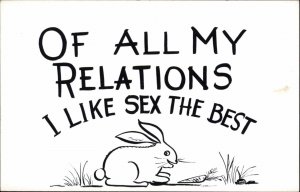 Vintage RPPC Bunny Rabbit Rabbits SEX RISQUE HUMOR